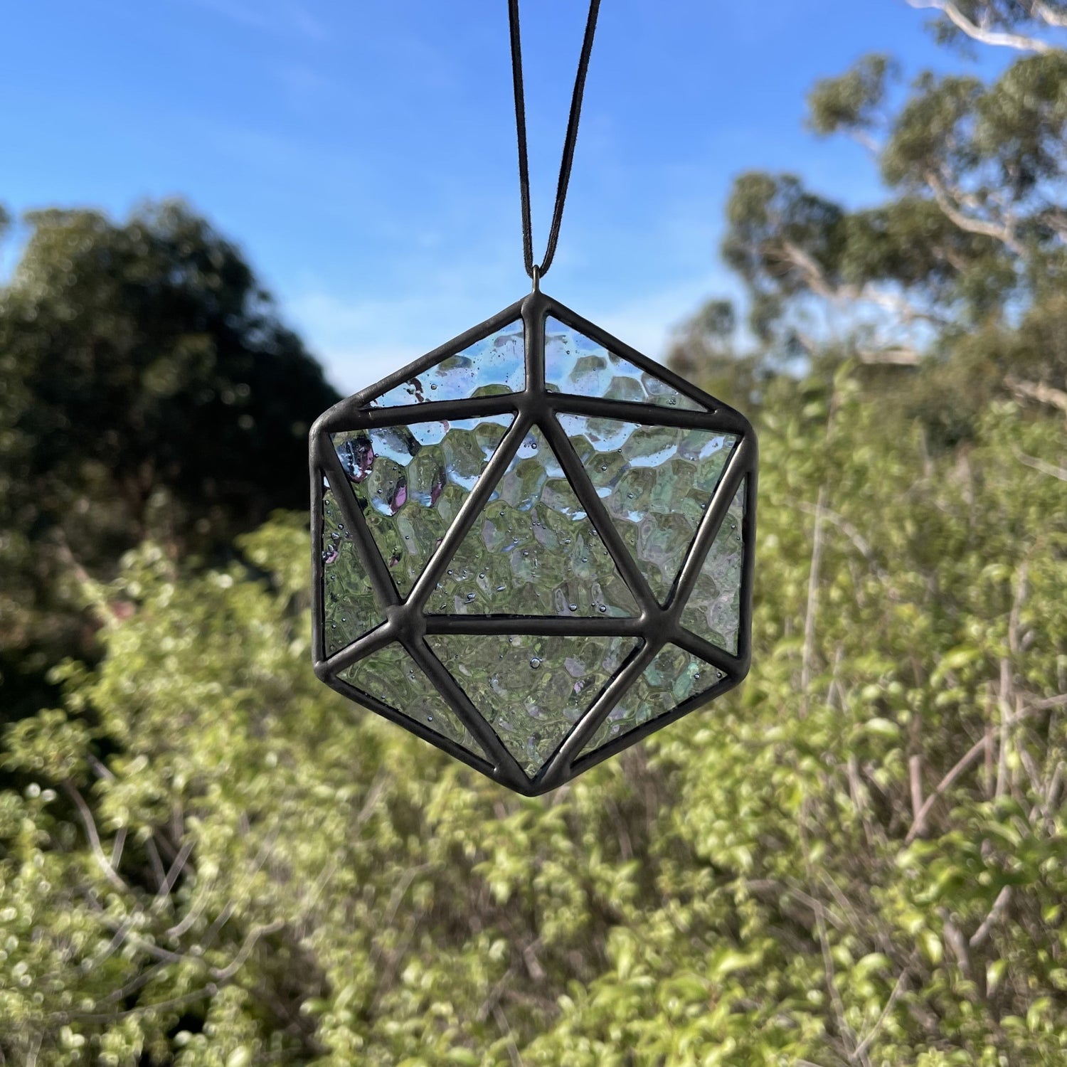 D20