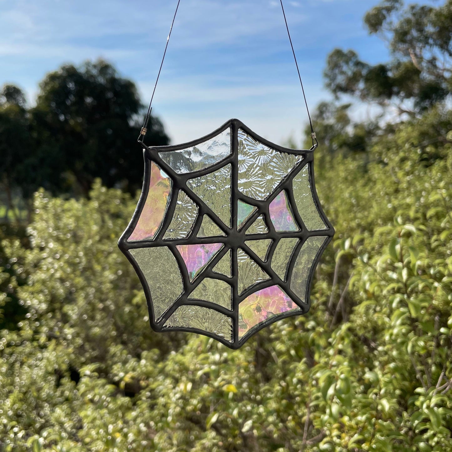 The Web
